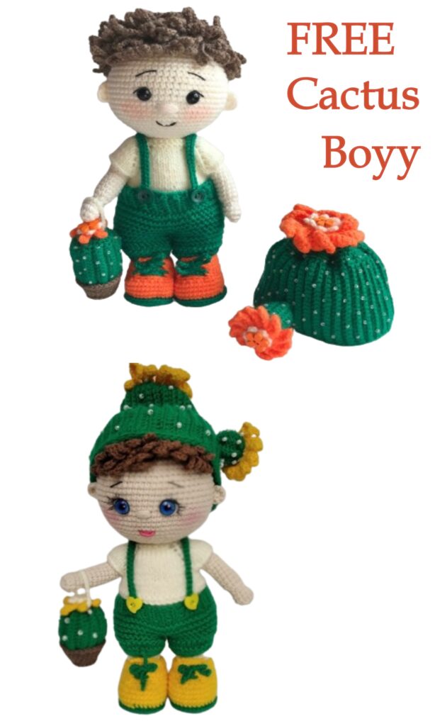 Crochet Cactus Boyy Free Amigurumi 